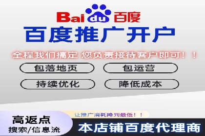 SEM搜索引擎优化：成功案例解析